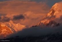 Nepal Annapurna-0233