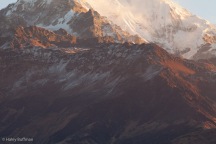 Nepal Annapurna-0393