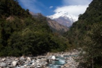 Nepal Annapurna-0733
